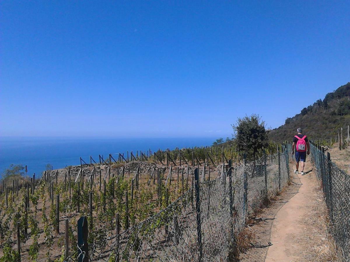 Mare, Monti E...Cinque Terre Leilighet La Spezia Eksteriør bilde